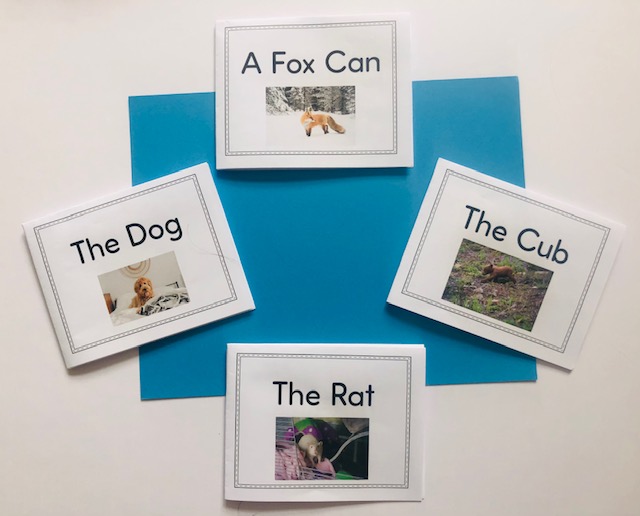 4 decodable mini books for English learners