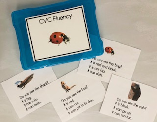 Photo of reading task cards with short vowel decodable reading practice