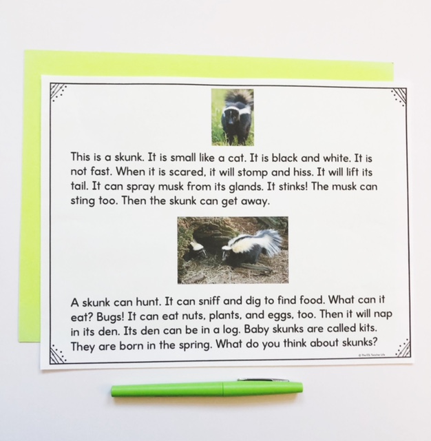 ESL reading passage about skunks with 2 skunk photos and 2 informational paragraphs about skunks.