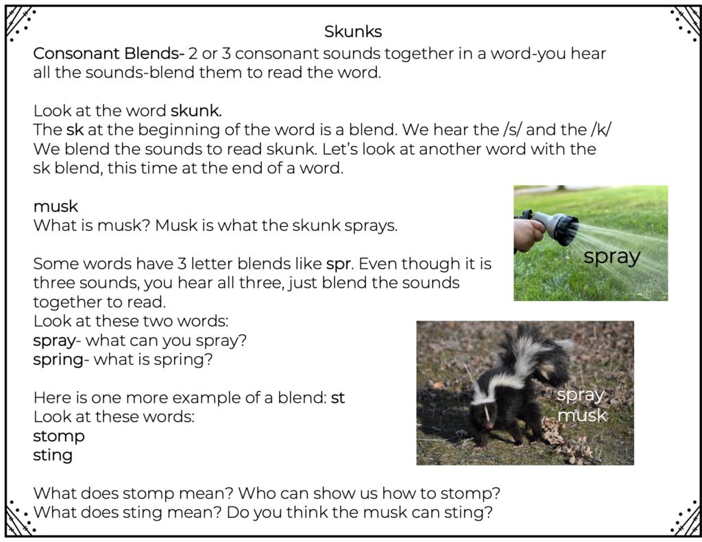 ESL reading activities ideas related to non fiction skunk passage