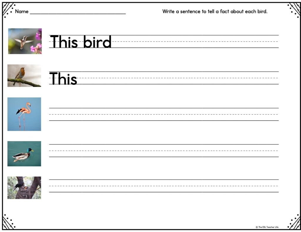 Sentence writing worksheet with photos and sentence stems about birds