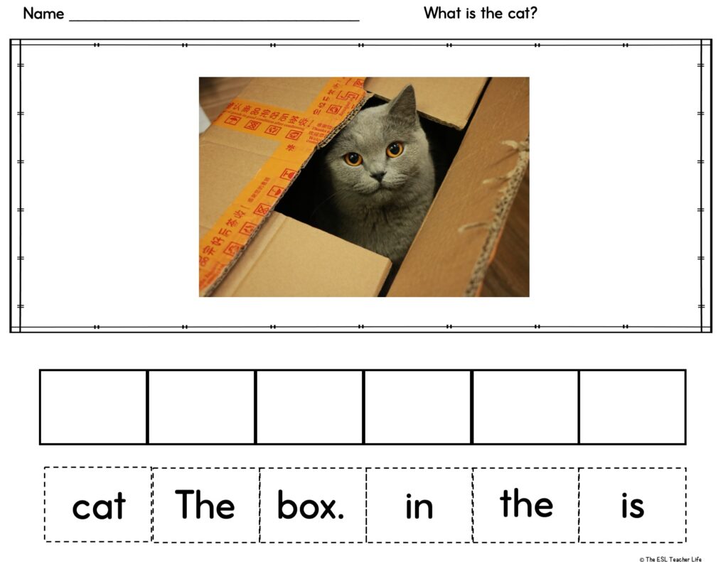 photo of a cat in a box with a scrambled sentence activity below it