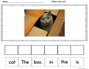 photo of a cat in a box with a CVC scrambled sentence activity