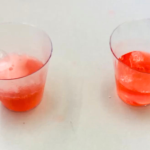 photo of ESL demonstration of chemical change