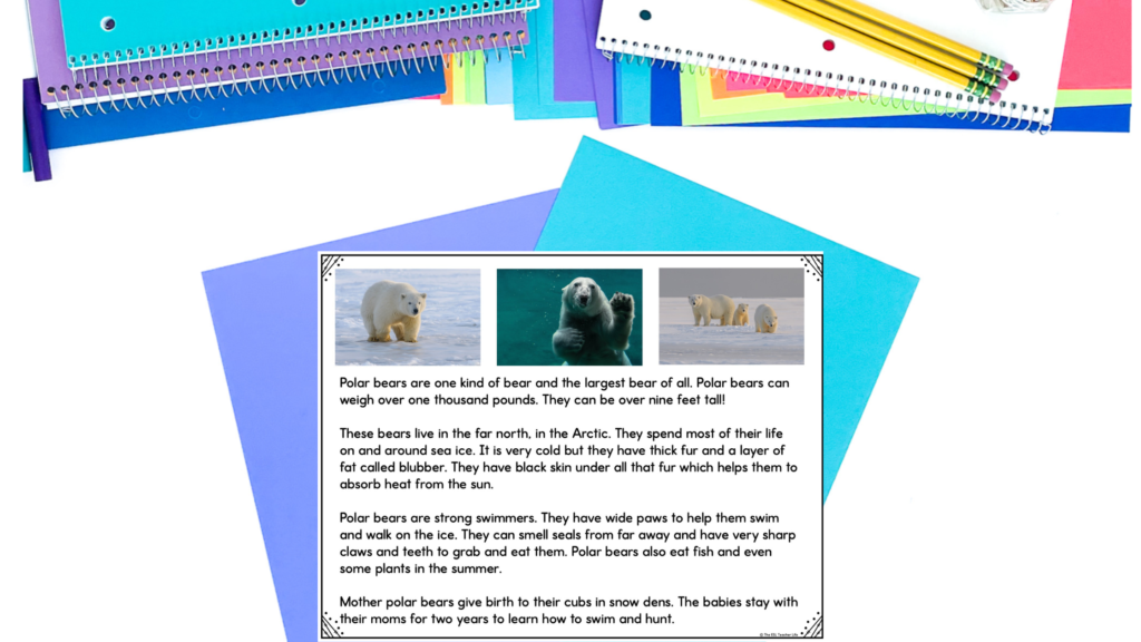 polar bear non fiction example of reading passages in the ELD classroom