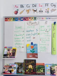 plants anchor chart in the ESL classroom