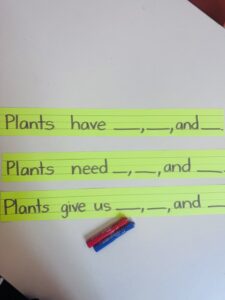 plants sentence frames in the ESL classroom