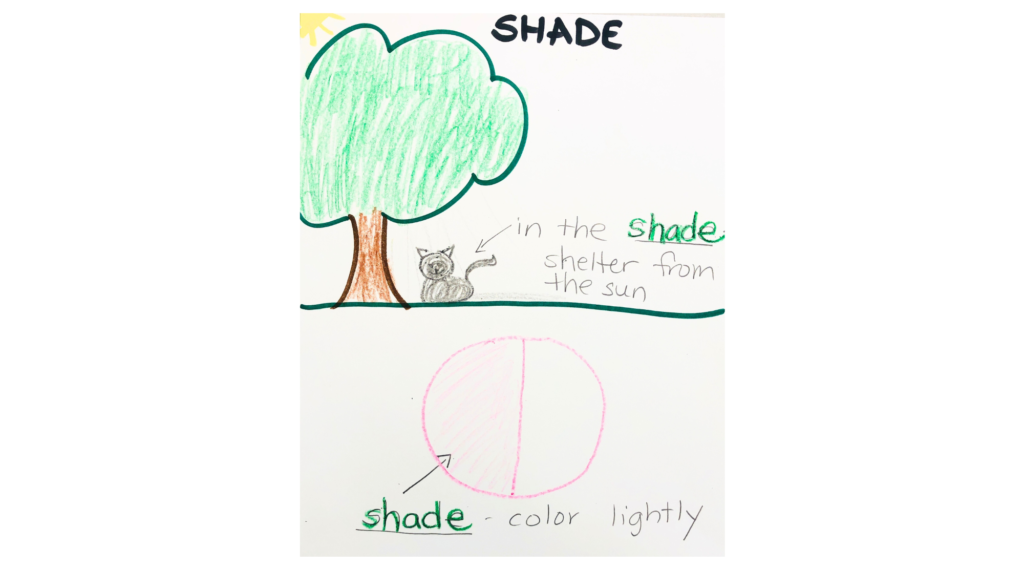 supporting MLS with drawing to show two definitions of the word shade