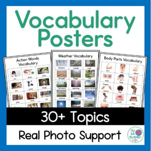 ESL vocabulary posters resource cover on TPT