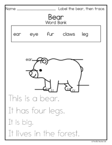 label and describe writing worksheet of a bear