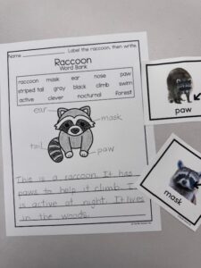 raccoon writing activity